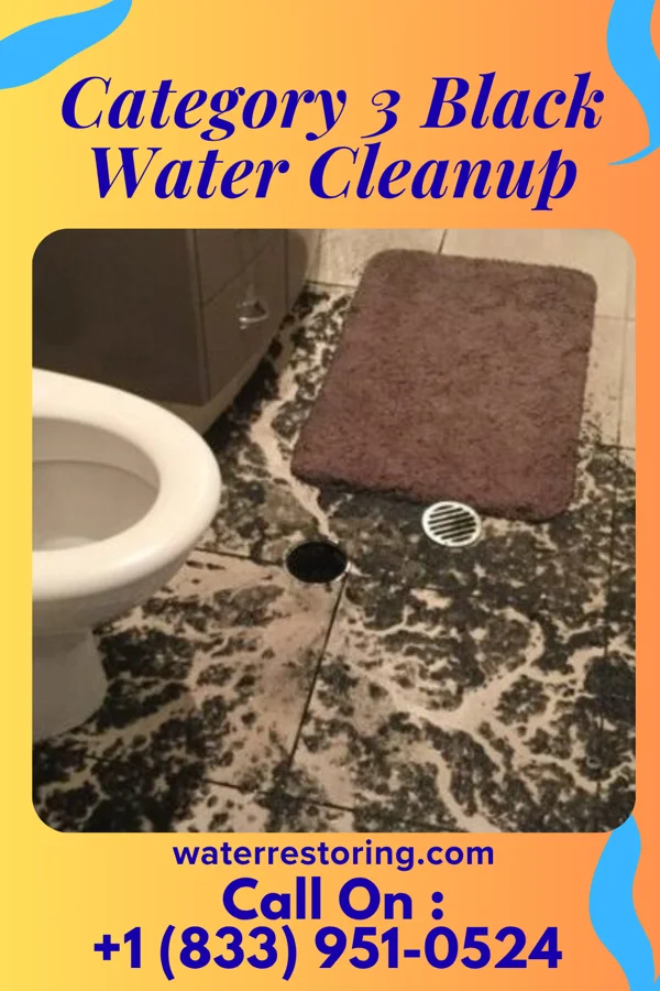 Category 3 Black Water Cleanup in Upton, KY