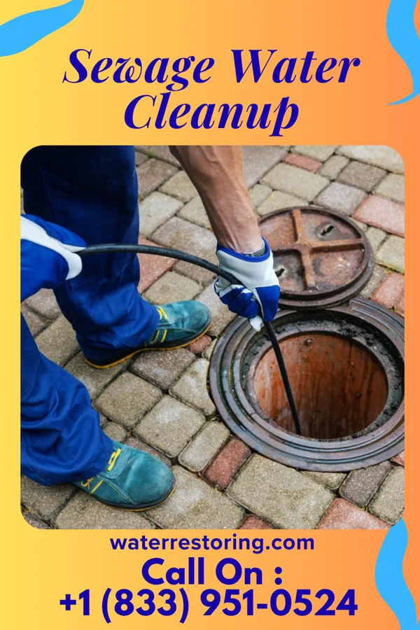 Sewage Water Cleanup in Upton, KY